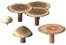 mushrooms woodturned